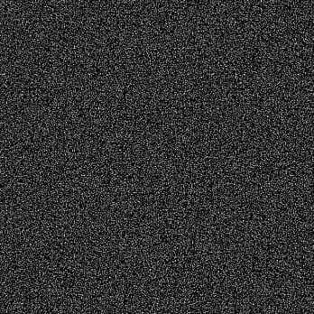 Grain